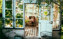 Giardino interno: come crearsi un'oasi dentro casa